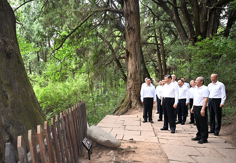 7月25日至27日，中共中央總書(shū)記、國家主席、中央軍委主席習近平在四川考察。這是25日下午，習近平在廣元市劍閣縣翠云廊考察。
